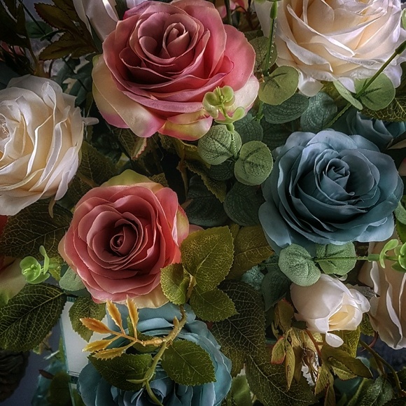 Meet your Posher, Dena - Picture 1 of 1